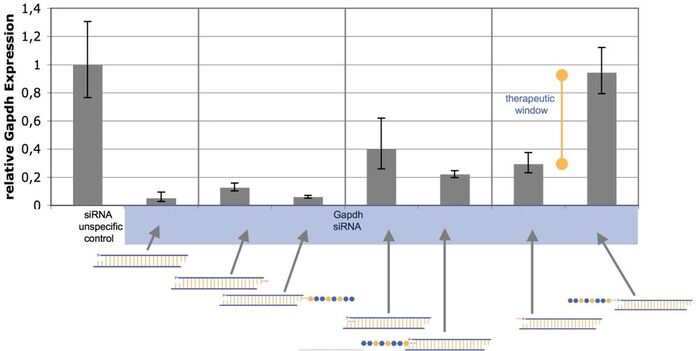 Inhibiting peptide at various locations on siRNA